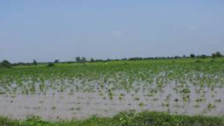 સુરેન્દ્રનગર ખાતે ખેડુતોના વિવિધ પ્રશ્નો અંગે કિસાન અધિકાર યાત્રા યોજાઈ