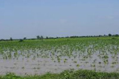 સુરેન્દ્રનગર ખાતે ખેડુતોના વિવિધ પ્રશ્નો અંગે કિસાન અધિકાર યાત્રા યોજાઈ